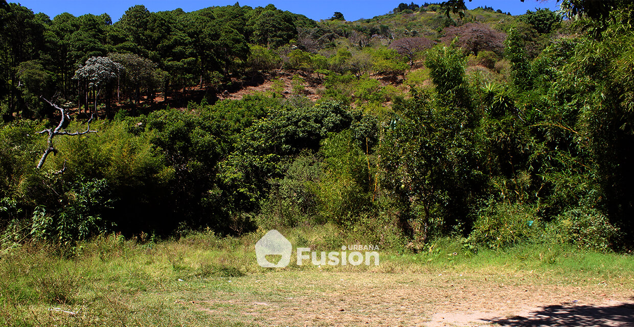 propiedad-escalon-alta-fusion-urbana-001
