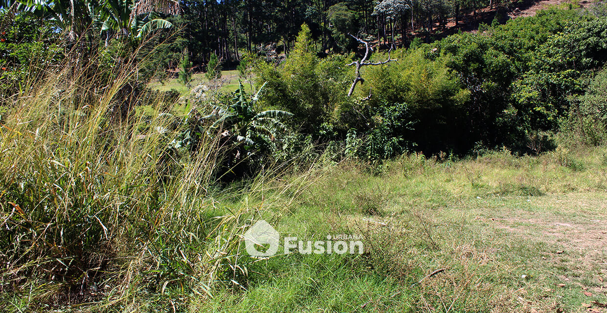 propiedad-escalon-alta-fusion-urbana-002