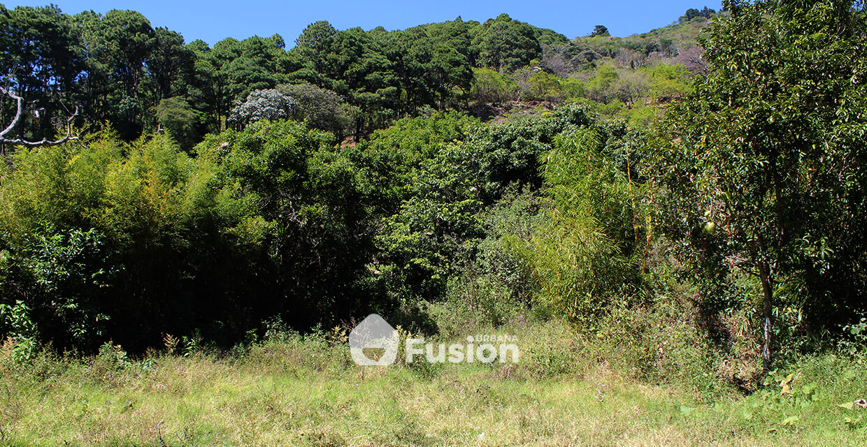 propiedad-escalon-alta-fusion-urbana-005