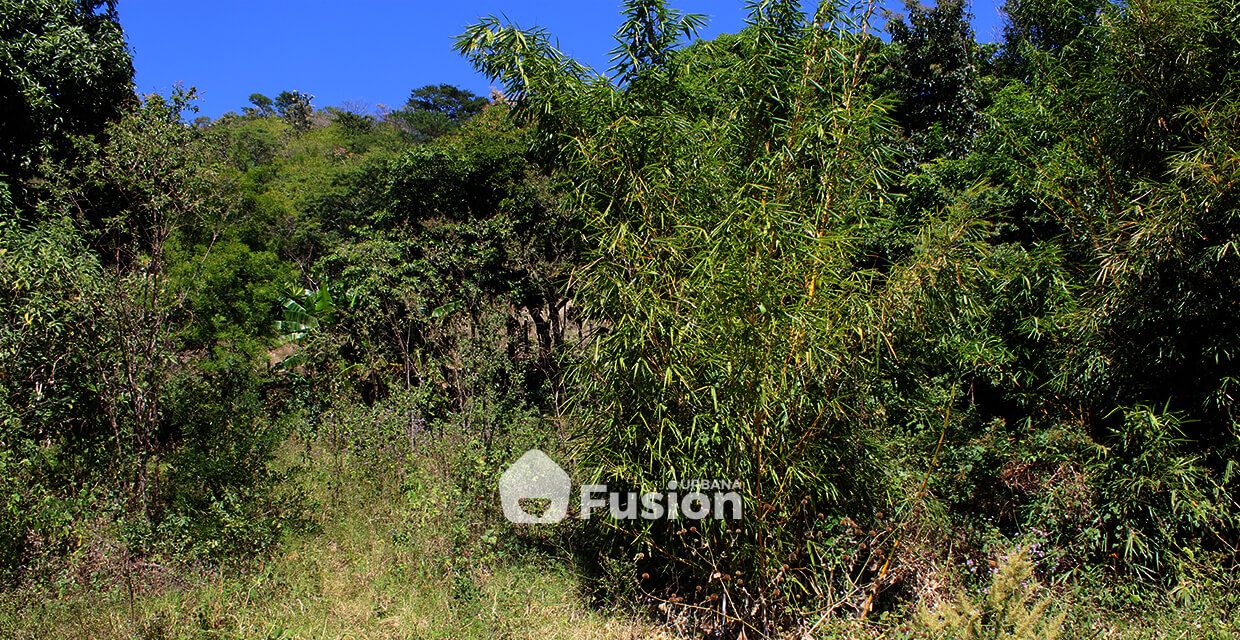 propiedad-escalon-alta-fusion-urbana-006