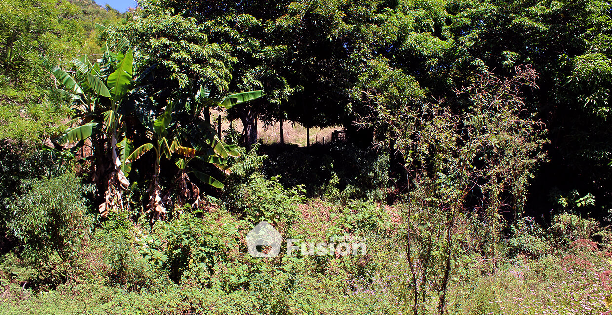 propiedad-escalon-alta-fusion-urbana-008