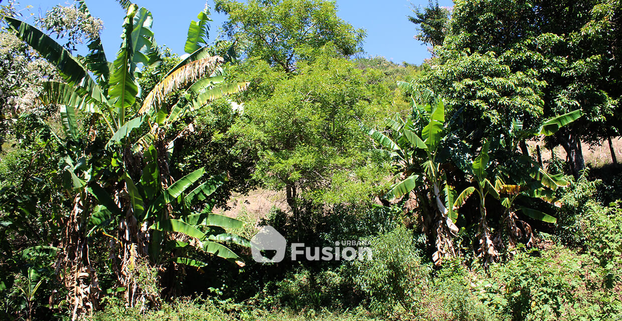 propiedad-escalon-alta-fusion-urbana-009