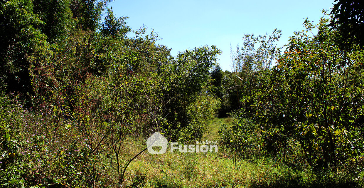 propiedad-escalon-alta-fusion-urbana-010