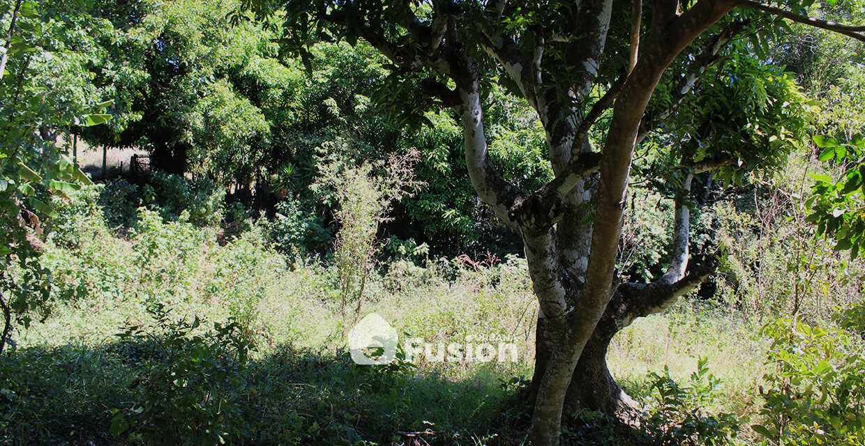 propiedad-escalon-alta-fusion-urbana-011