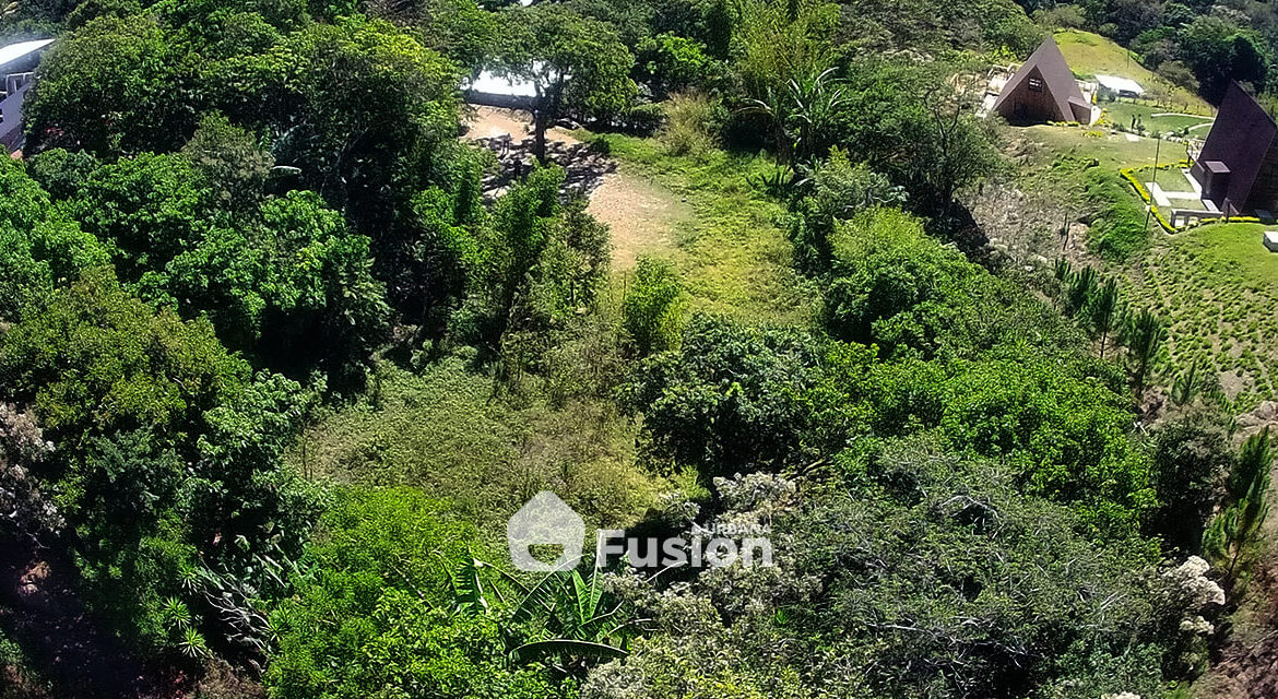 propiedad-escalon-alta-fusion-urbana