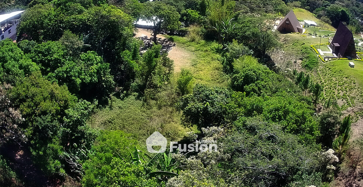propiedad-escalon-alta-fusion-urbana